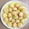 Canned Whole Mushroom