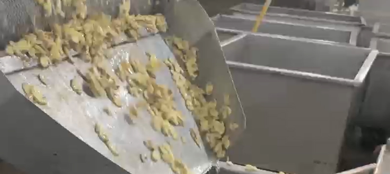 Sliced Mushrooms