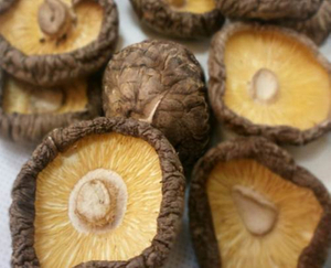 Dried Shiitake Mushroom