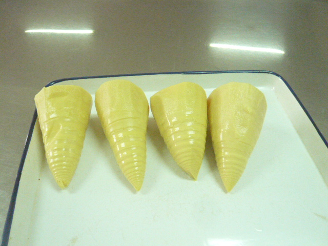 Canned Bamboo
