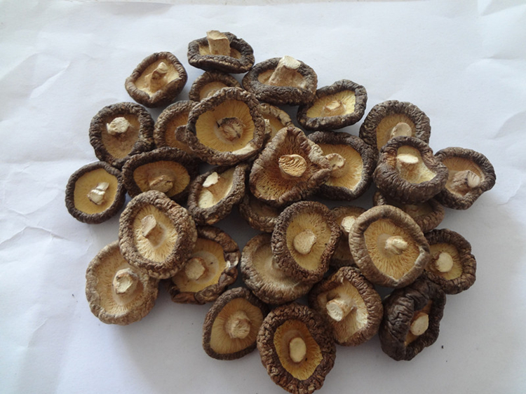 Dried Shiitake Mushroom