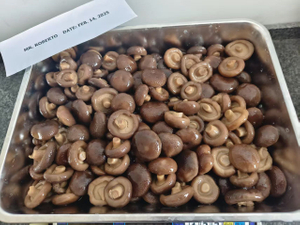 Canned Shiitake Mushroom