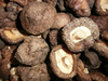 Dried Shiitake Mushroom