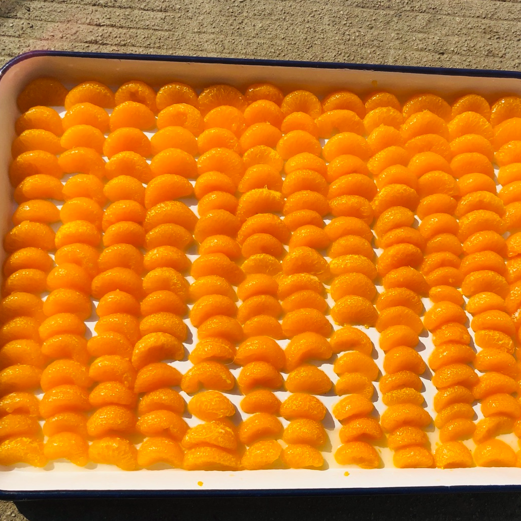 Canned Mandarin Orange