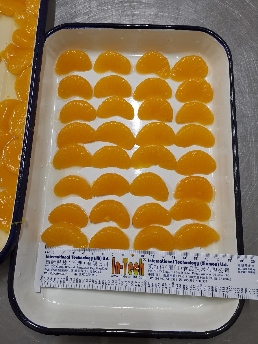 Canned Mandarin Orange