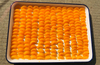 Canned Mandarin Orange