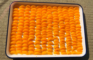 Canned Mandarin Orange